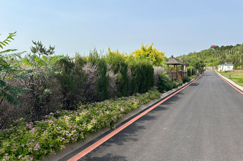 龙生墓园夏季景色