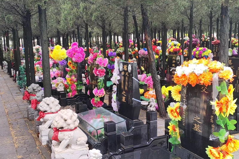沈阳天山墓园：承百年福泽，筑生命静界