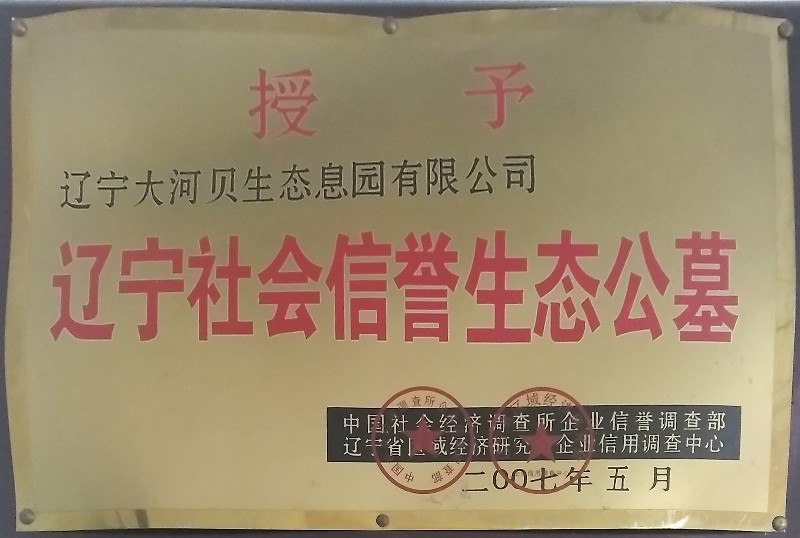 大河贝荣誉